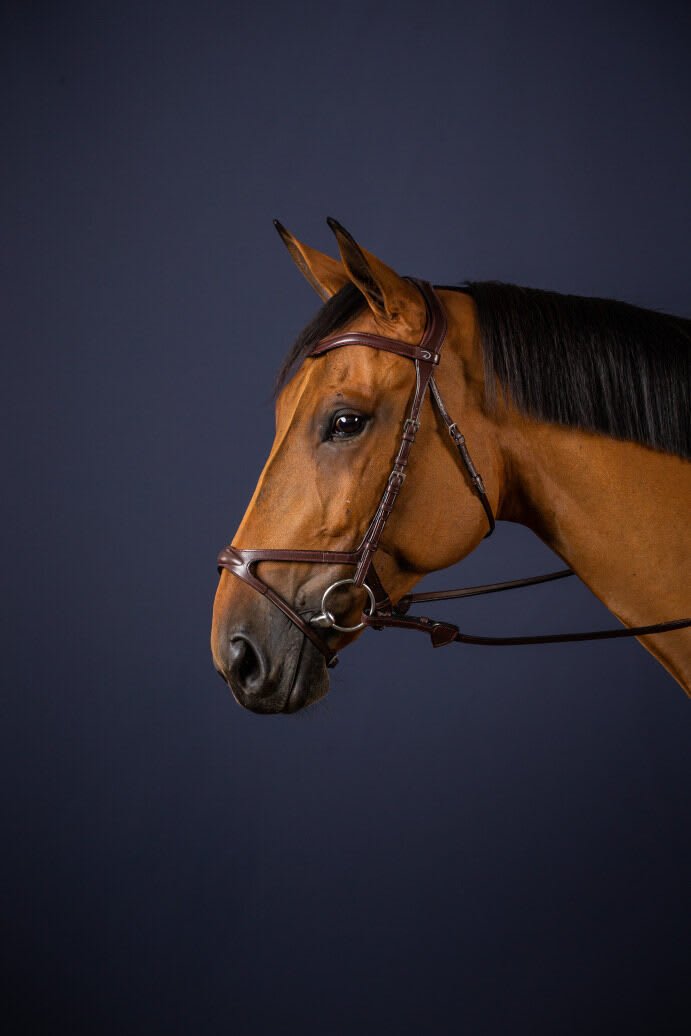 Dyon X - Fit Bridle New English Collection - Løwenborg - Dy'on