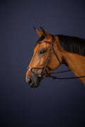Dyon X - Fit Bridle New English Collection - Løwenborg - Dy'on