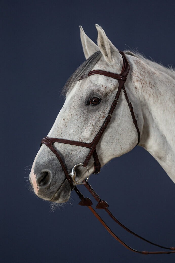 Dyon X - Fit Bridle New English Collection - Løwenborg - Dy'on
