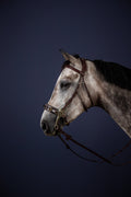 Dyon Hackamore Bridle New English Collection - Løwenborg - Dy'on