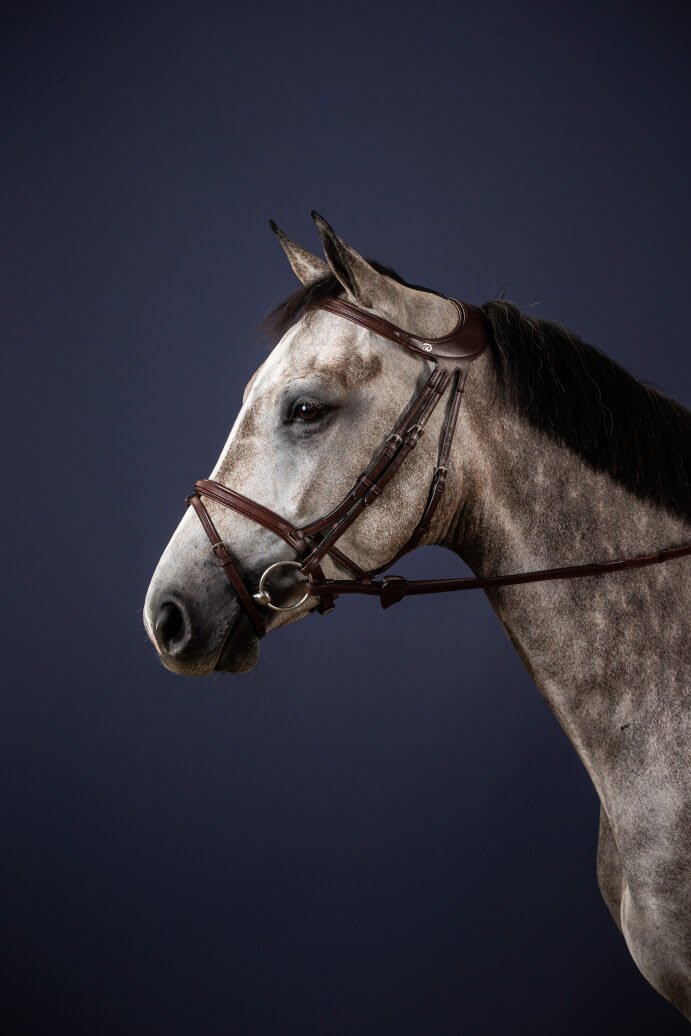 Dyon Difference Bridle New English Collection - Løwenborg - Dy'on