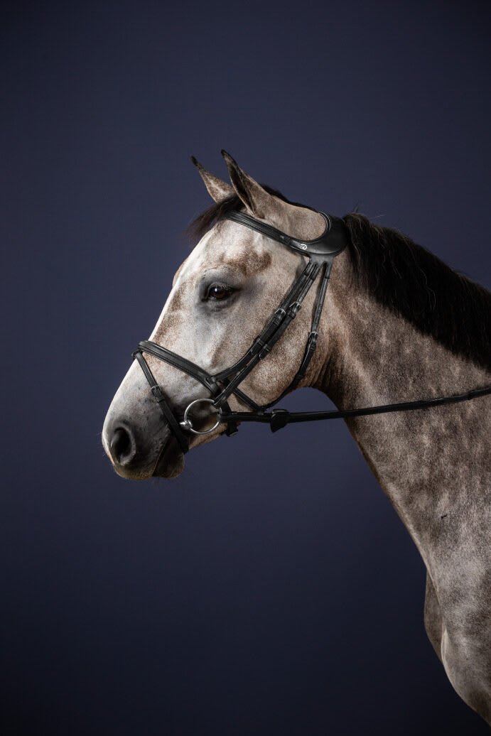 Dyon Difference Bridle New English Collection - Løwenborg - Dy'on