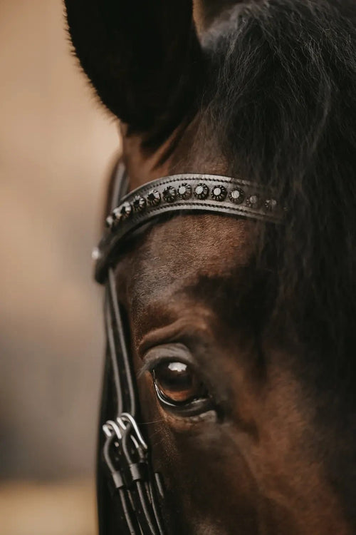 Dyon Black Swarovski V - Shaped Browband New English Collection - Løwenborg - Dy'on