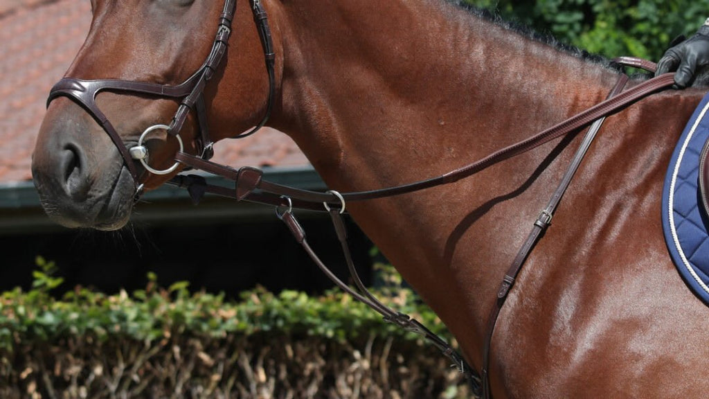 Dyon 16mm Rubber Reins New English Collection - Løwenborg - Dy'on