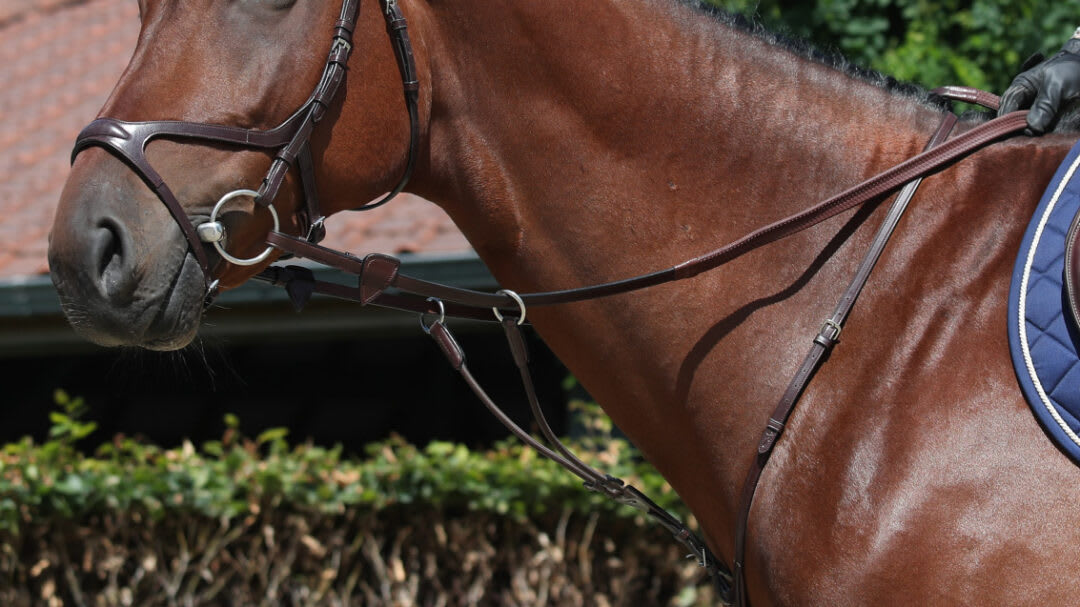 Dyon 16mm Rubber Reins New English Collection