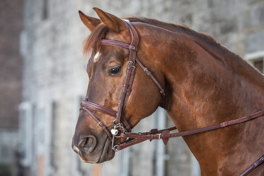 Dyon 13mm Converter Rubber Reins With 7 Leather Loops New English Collection