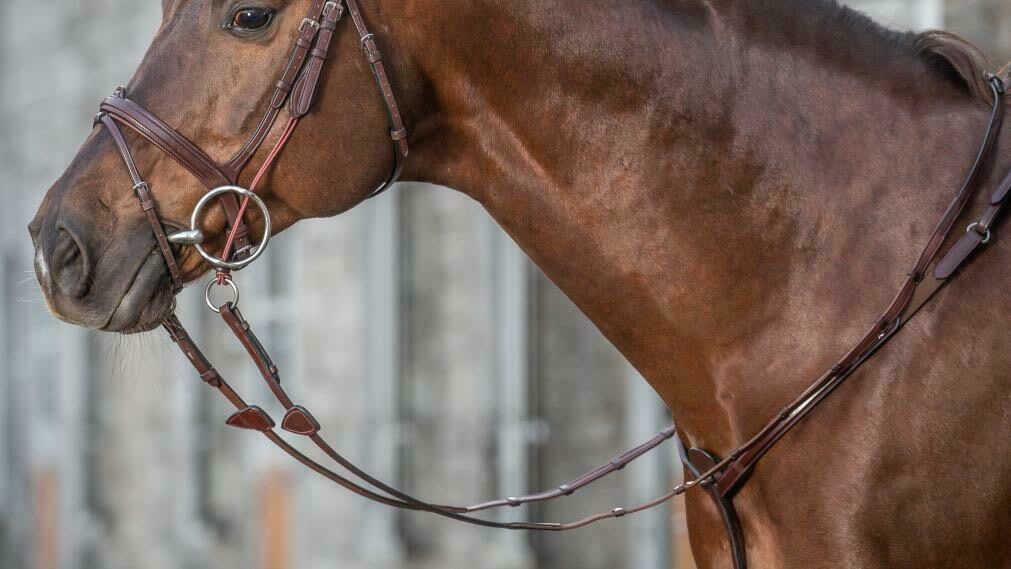 Dyon 16mm Hunter Reins With 7 Leather Loops New English Collection - Løwenborg - Dy'on