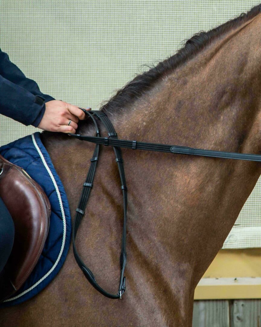 Dyon 16mm Web Reins With 9 Leather Loops (Without Stopper) New English Collection - Løwenborg - Dy'on