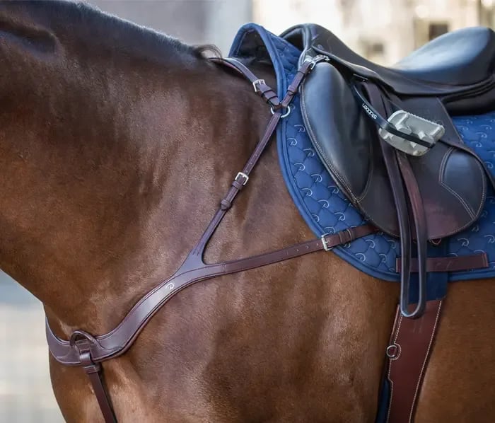 Dyon Anatomical Breastplate New English Collection