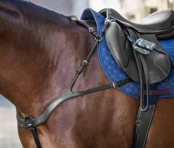 Dyon Anatomical Breastplate New English Collection