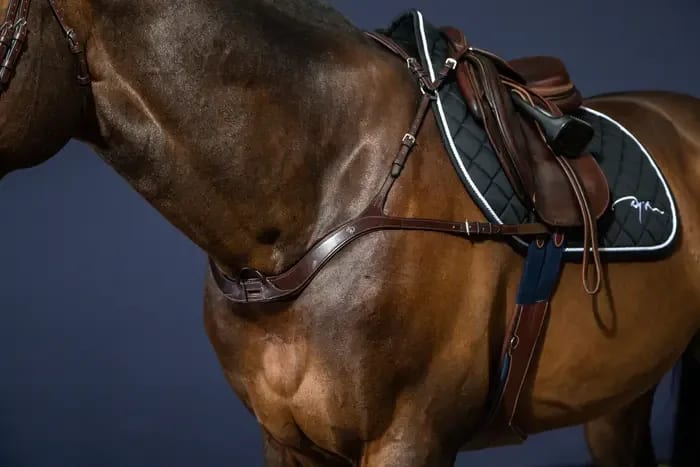 Dyon Anatomical Breastplate New English Collection