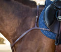 Dyon Long Bridge Breastplate New English Collection - Løwenborg - Dy'on