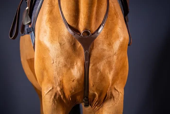 Dyon Bridge Breastplate New English Collection - Løwenborg - Dy'on