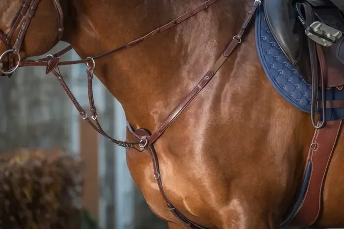 Dyon Running Martingale Attachment New English Collection - Løwenborg - Dy'on