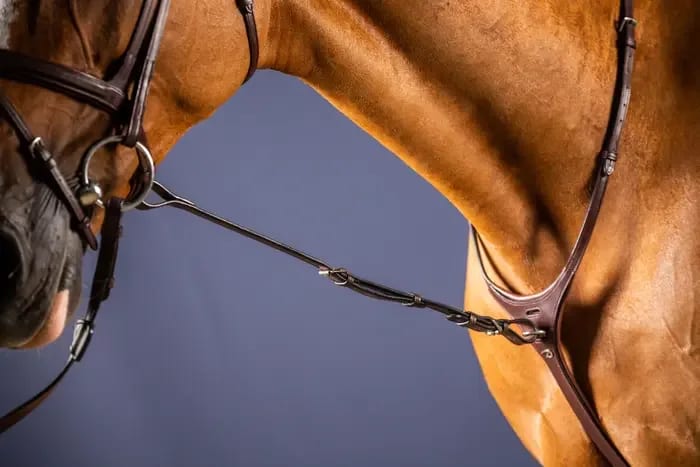 Dyon Standing Martingale Attachment New English Collection - Løwenborg - Dy'on