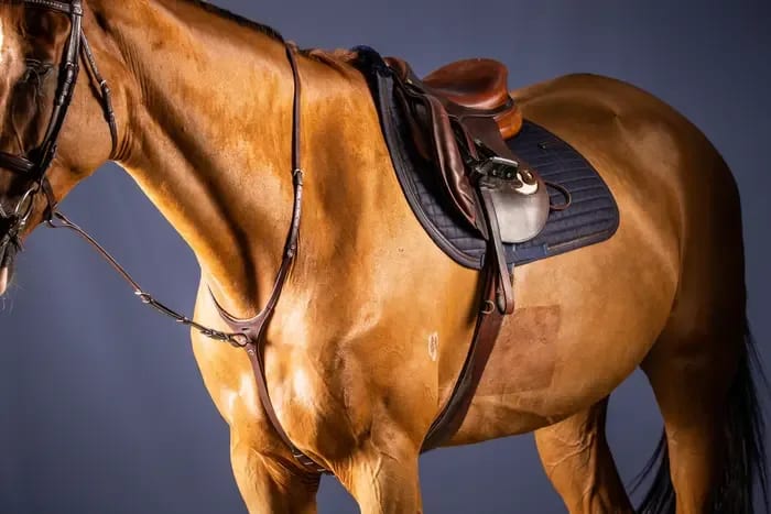 Dyon Standing Martingale Attachment New English Collection - Løwenborg - Dy'on