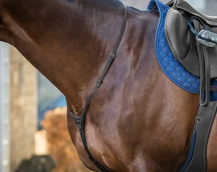 Dyon Yoke New English Collection