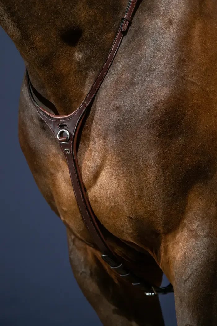 Dyon Yoke New English Collection