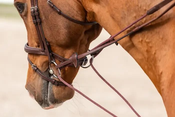 Dyon Leather/Nylon Draw Reins 16mm New English Collection