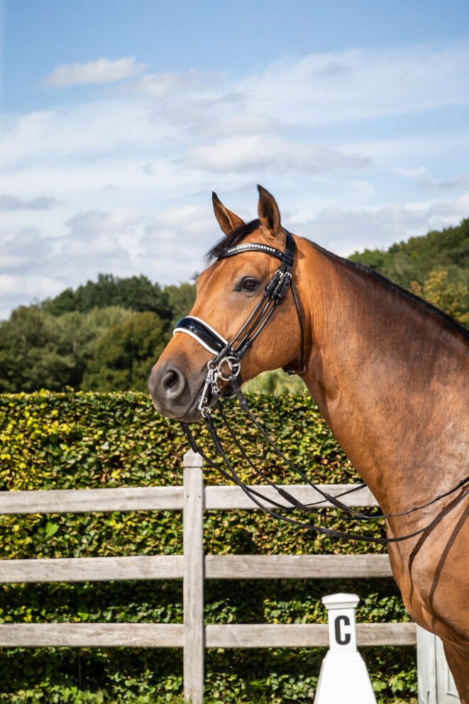 Dyon Patent Large Crank Noseband With White Padding Double Bridle Rond Leather Collection - Løwenborg - Dy'on