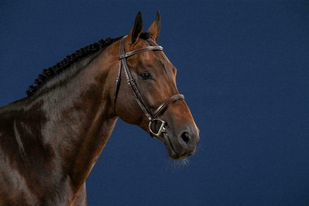 Dyon Cavesson Noseband Bridle US Collection - Løwenborg - Dy'on