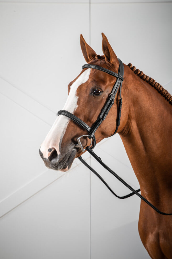 Dyon Cavesson Noseband Bridle US Collection