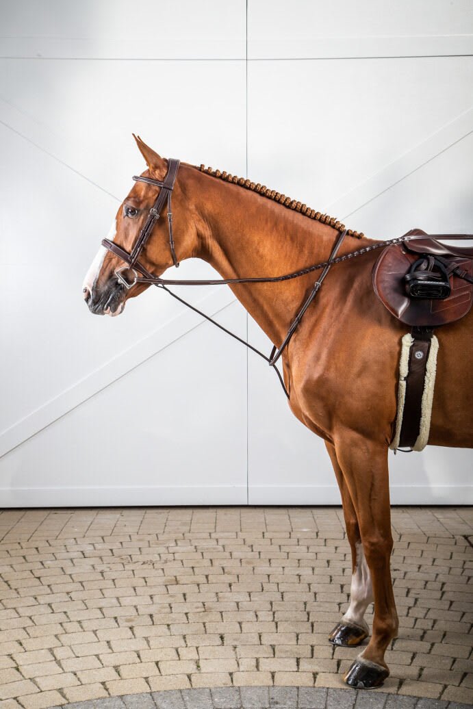 Dyon Cavesson Noseband Bridle US Collection - Løwenborg - Dy'on