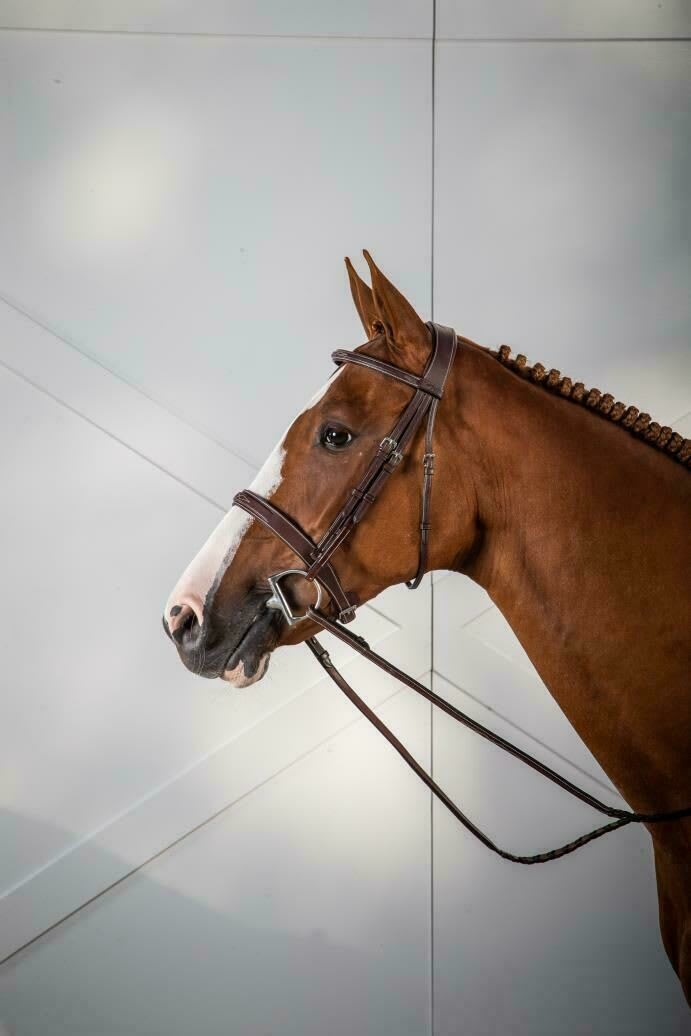 Dyon Cavesson Hunter Noseband Bridle US Collection - Løwenborg - Dy'on