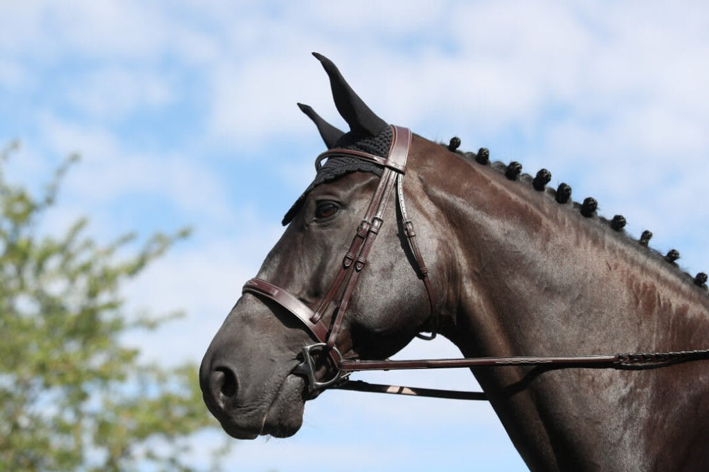 Dyon Cavesson Hunter Noseband Bridle US Collection - Løwenborg - Dy'on