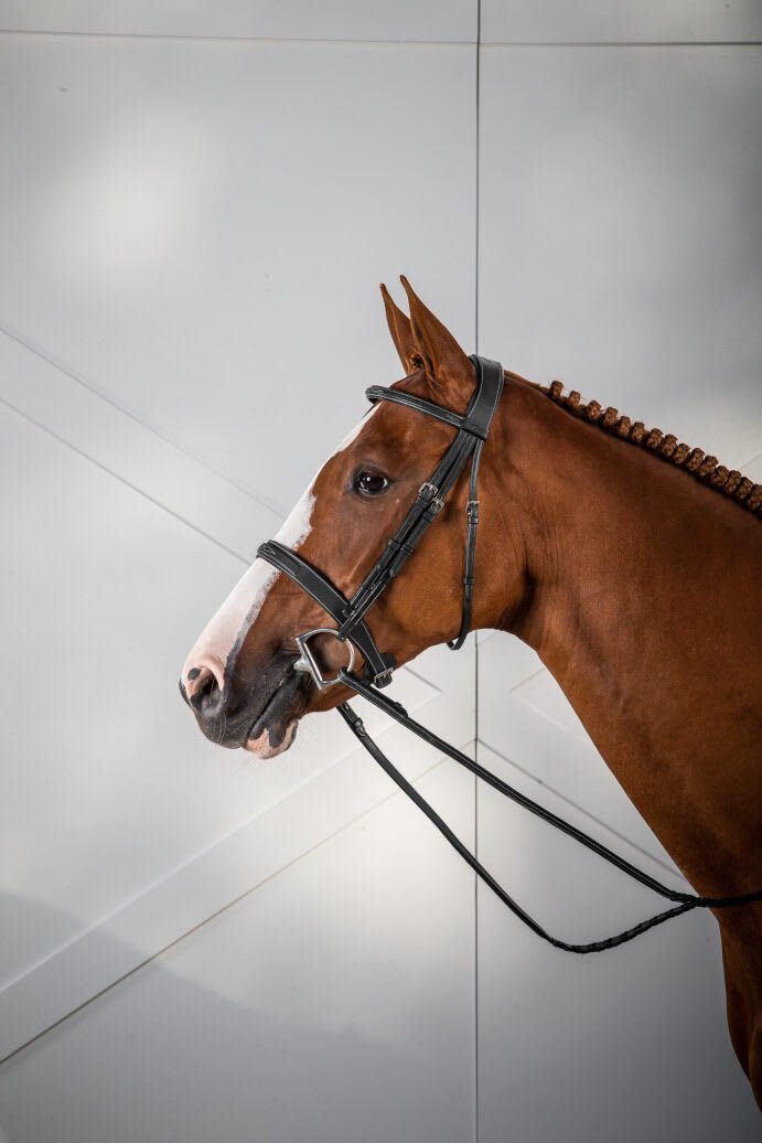 Dyon Cavesson Hunter Noseband Bridle US Collection - Løwenborg - Dy'on