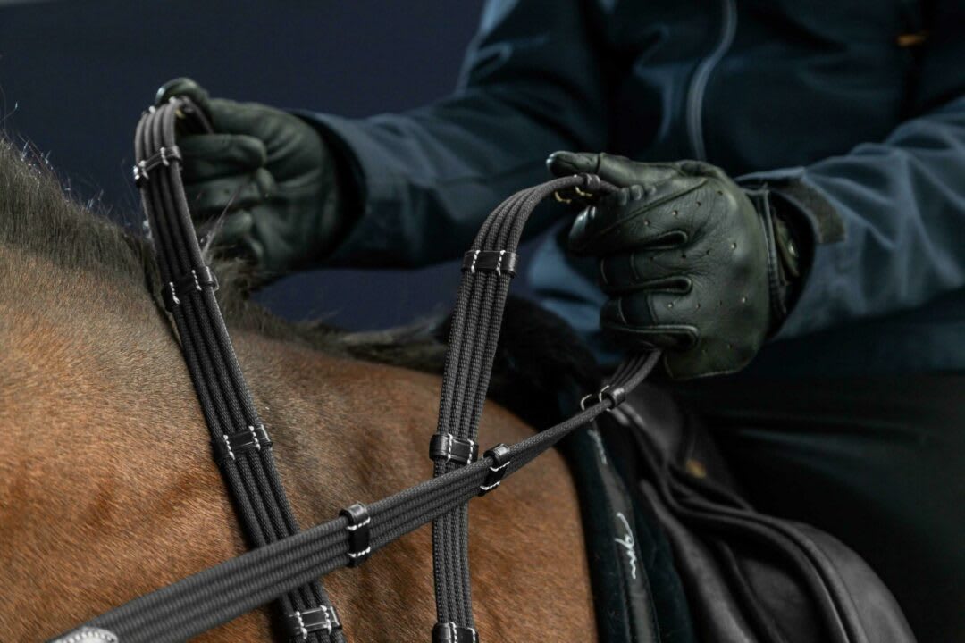 Dyon 16mm Web Reins With 9 Leather Loops US Collection