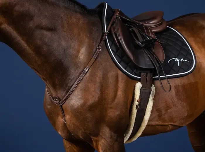 Dyon Breastplate US Collection - Løwenborg - Dy'on