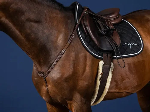 Dyon Breastplate US Collection - Løwenborg - Dy'on