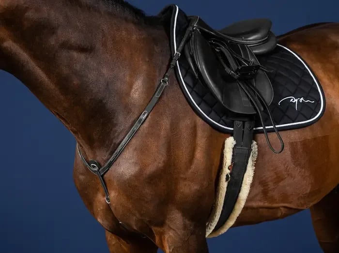 Dyon Breastplate US Collection - Løwenborg - Dy'on