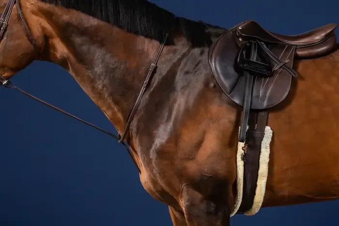 Dyon Standing Martingale US Collection