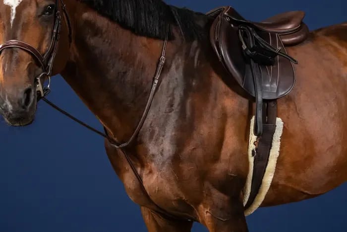 Dyon Standing Martingale US Collection - Løwenborg - Dy'on