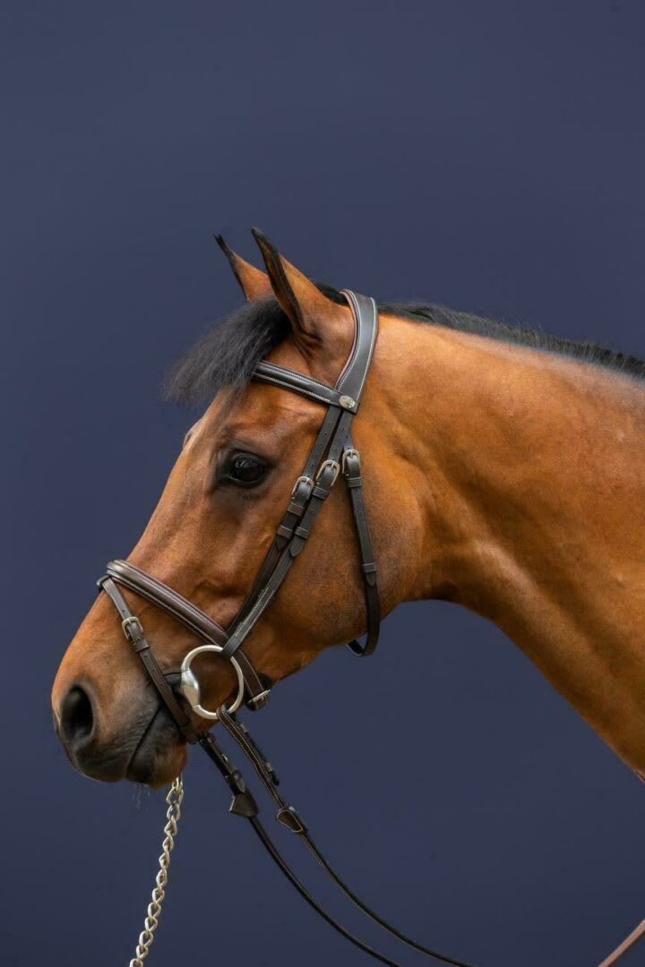 Dyon Flash Noseband Bridle Working By Dyon - Løwenborg - Dy'on