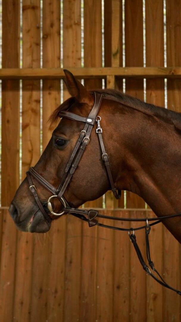 Dyon Flash Noseband Bridle With Snap Hooks Working By Dyon - Løwenborg - Dy'on