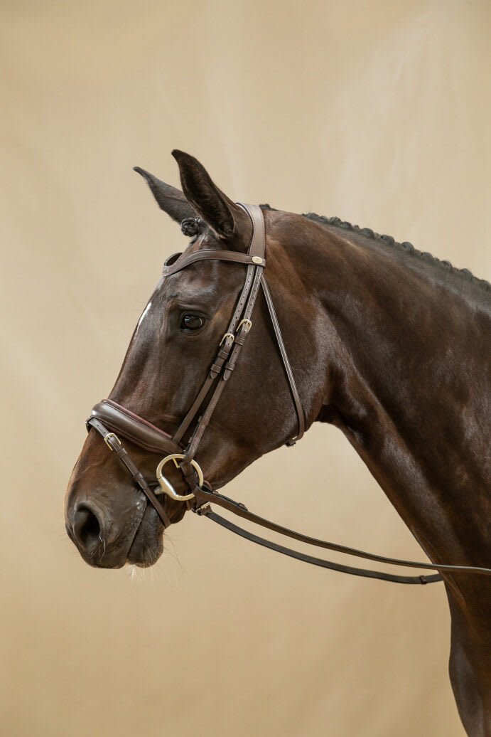 Dyon Matte Large Crank Noseband Bridle With Flash Working By Dyon - Løwenborg - Dy'on