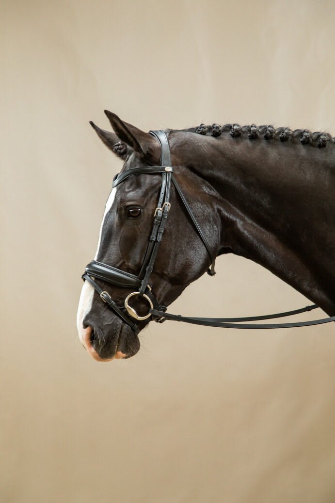 Dyon Matte Large Crank Noseband Bridle With Flash Working By Dyon - Løwenborg - Dy'on