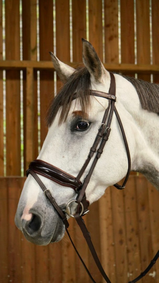 Dyon Patent Large Crank Noseband Bridle With Flash Working By Dyon - Løwenborg - Dy'on