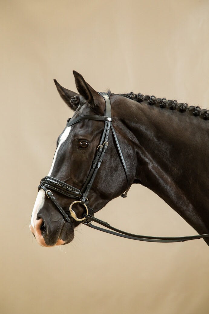 Dyon Patent Large Crank Noseband Bridle With Flash Working By Dyon - Løwenborg - Dy'on