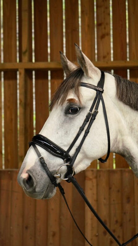 Dyon Patent Large Crank Noseband Bridle With Flash Working By Dyon - Løwenborg - Dy'on