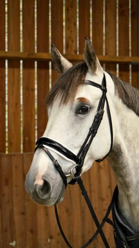 Dyon Patent Large Crank Noseband Bridle With White Padding And Flash Working By Dyon - Løwenborg - Dy'on