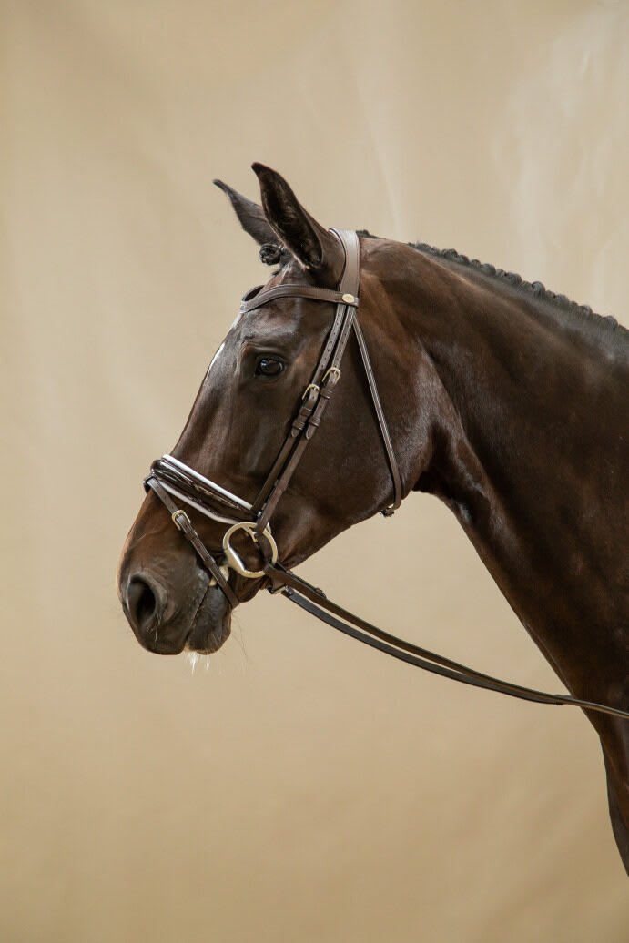 Dyon Patent Large Crank Noseband Bridle With White Padding And Flash Working By Dyon - Løwenborg - Dy'on