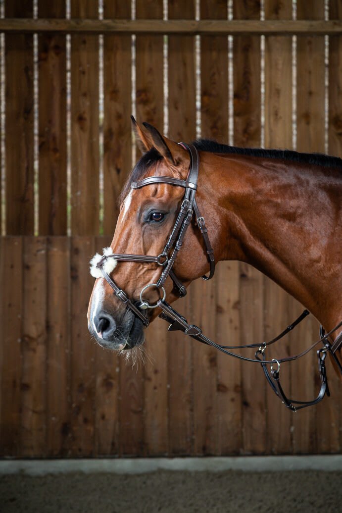 Dyon Fig 8 Noseband Bridle Working By Dyon - Løwenborg - Dy'on