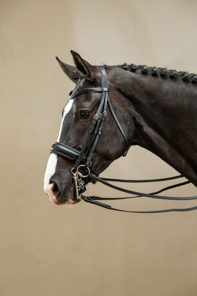 Dyon Matte Large Crank Noseband Double Bridle Working By Dyon - Løwenborg - Dy'on