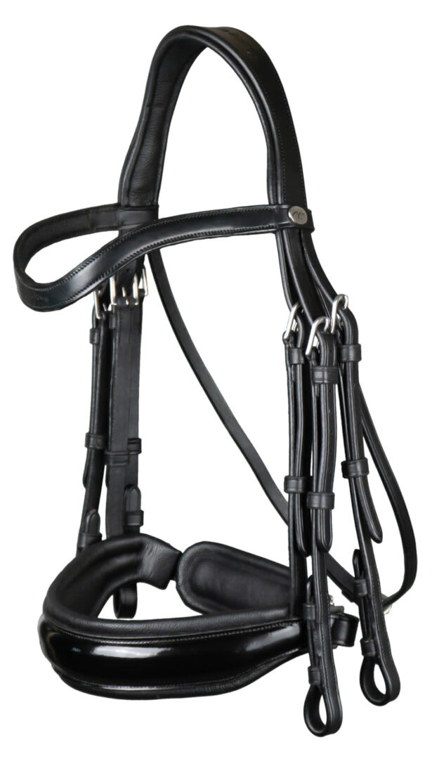 Dyon Patent Large Crank Noseband Double Bridle Working By Dyon
