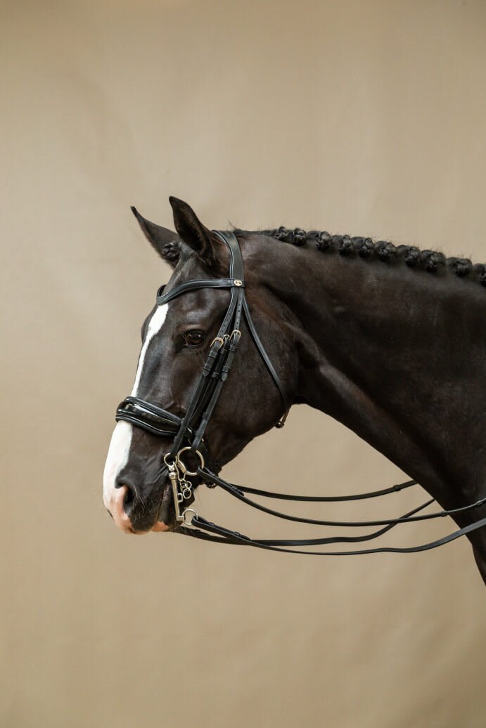 Dyon Patent Large Crank Noseband Double Bridle Working By Dyon - Løwenborg - Dy'on