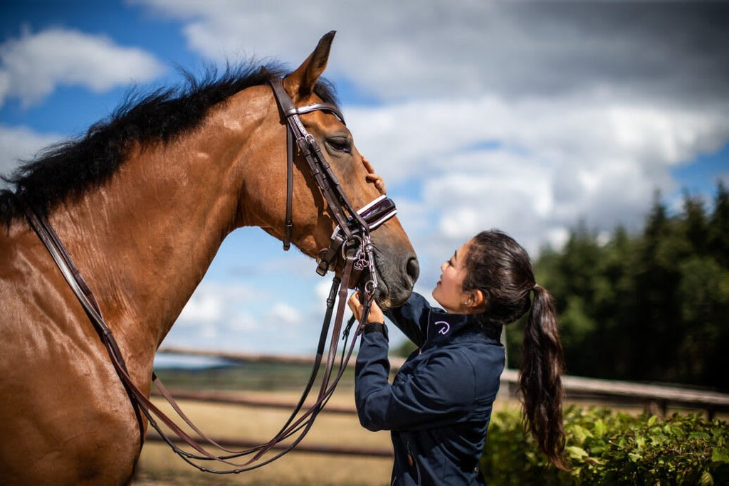 Dyon Patent Large Crank Noseband With White Padding Double Bridle Working By Dyon - Løwenborg - Dy'on